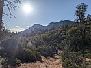 photo thumbnail #1