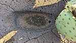 photo thumbnail #6