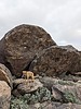 photo thumbnail #3