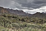 photo thumbnail #7