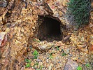 photo thumbnail #7