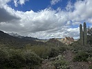 photo thumbnail #13