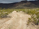 photo thumbnail #1