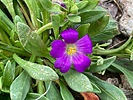photo thumbnail #11