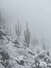 photo thumbnail #5