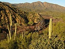photo thumbnail #12