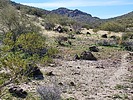 photo thumbnail #4