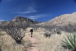 photo thumbnail #3
