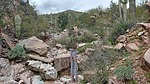 photo thumbnail #3