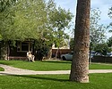 photo thumbnail #14