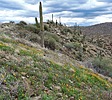 photo thumbnail #8