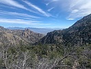 photo thumbnail #3