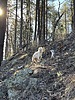 photo thumbnail #2