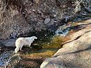 photo thumbnail #8