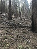 photo thumbnail #7