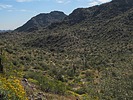 photo thumbnail #3