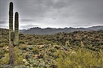 photo thumbnail #15