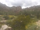 photo thumbnail #1