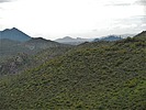 photo thumbnail #14