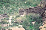 photo thumbnail #5