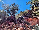photo thumbnail #11