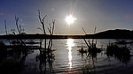 photo thumbnail #15