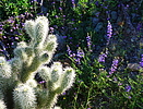 photo thumbnail #4