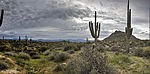 photo thumbnail #7