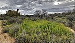 photo thumbnail #14