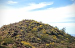 photo thumbnail #9