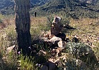 photo thumbnail #5