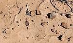 photo thumbnail #5