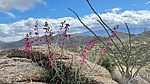 photo thumbnail #5