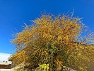 photo thumbnail #11