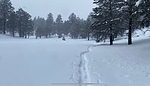 photo thumbnail #1