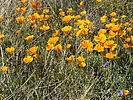 photo thumbnail #13