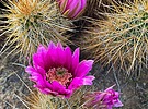 photo thumbnail #5