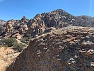 photo thumbnail #4