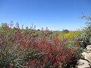 photo thumbnail #1