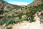 photo thumbnail #3