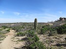 photo thumbnail #8