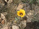 photo thumbnail #15