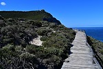 photo thumbnail #14