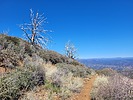photo thumbnail #5