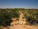 photo thumbnail #5