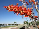 photo thumbnail #7
