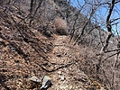 photo thumbnail #15