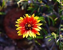 photo thumbnail #8