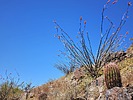 photo thumbnail #15