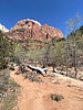 photo thumbnail #5